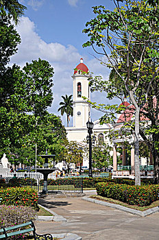 bạch thủ lô mb