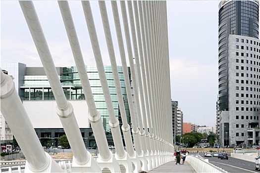 cau bach thu mien bac hom nay