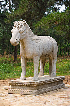 xs đà nẵng