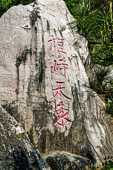 soi cầu bình định