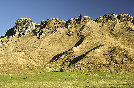 cau lodephomnay