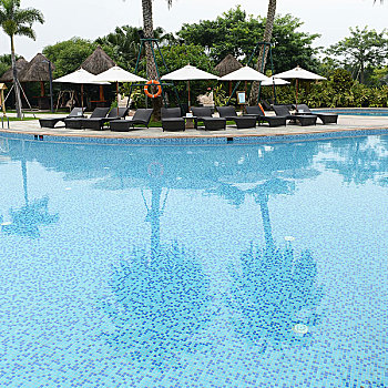 bạch thủ lô ngày hôm nay