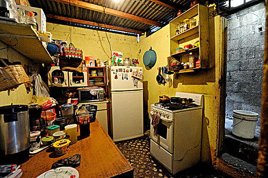 bạch thủ lô tô