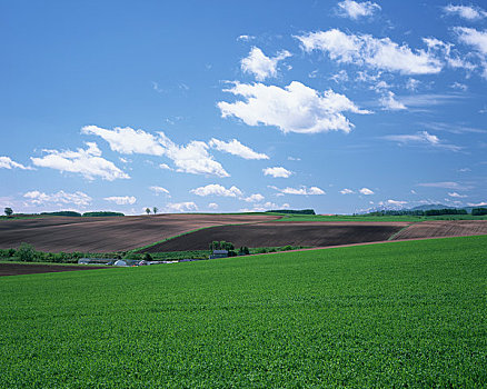 du doan dau duoi