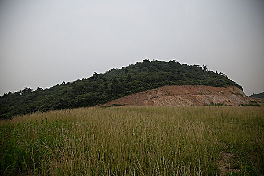 tỷ lệ cá cược bóng đá c1