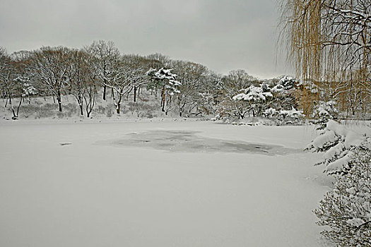 lo đe 88