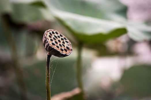 xsmb thứ 4