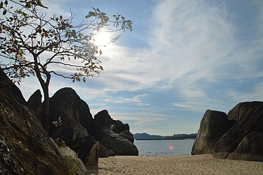 xs trà vinh