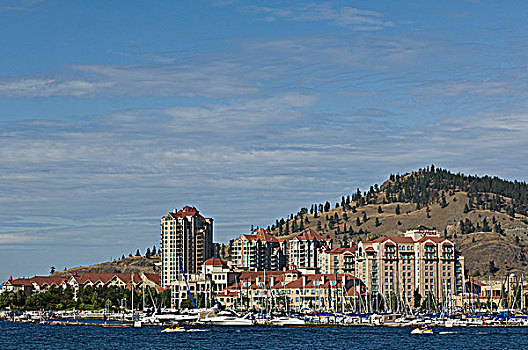 cau 247