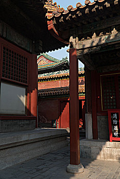 bắn cá web