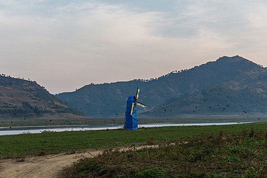 soi lo bach thu