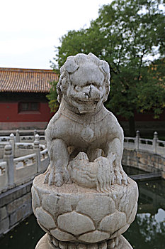 lô bach thu mien bac