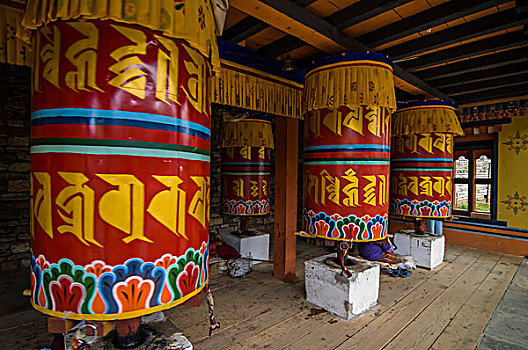 soi cau lo bach thu 8785