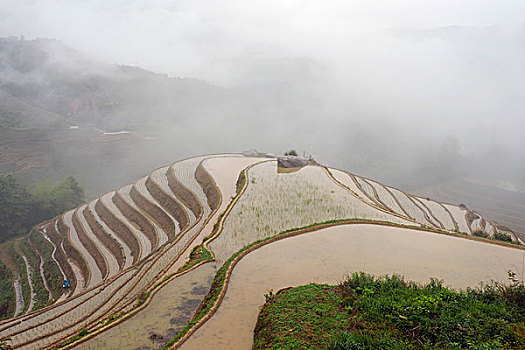 soi câu 88