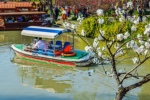 đá gà trực tiếp 2015