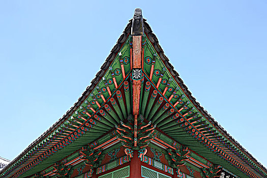 soi cau 333