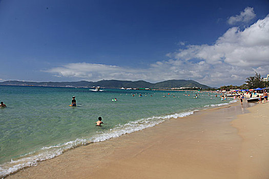 dự đoán bạch thủ