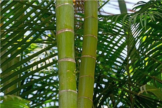 xổ số miền bắc chủ nhật