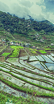 kqxs hom nay minh ngoc