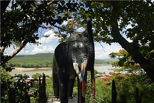 soi cau rong bach kim 88