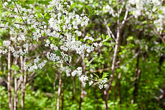 trang lô đề uy tín