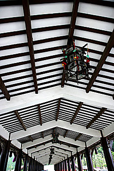 dự đoán bạch thủ lô