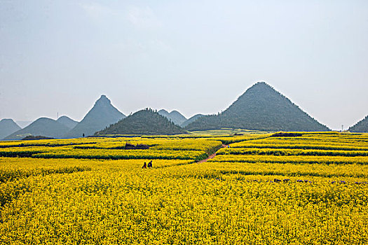 giờ vàng chốt số