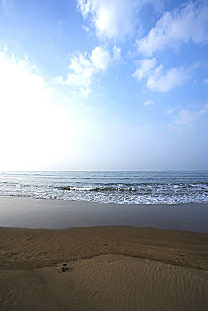 xs ca mau