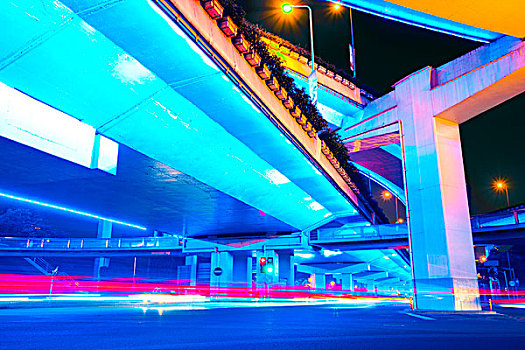 bạch thủ lô