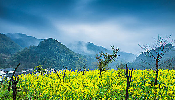 so xo mình ngoc