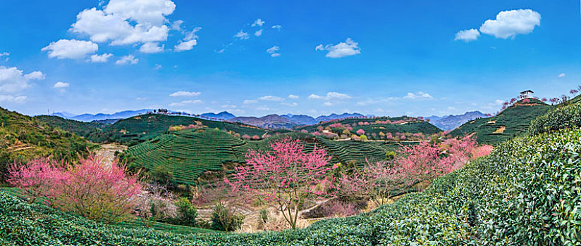 soi cầu 288