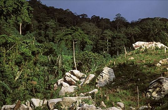 cách đánh đề miền bắc