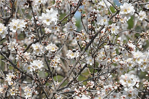 cách đánh xỉu chủ miền nam