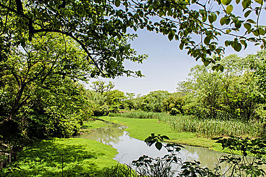 lô rơi miền bắc