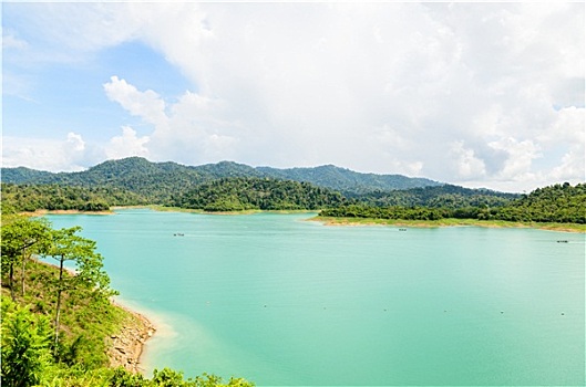 soi cau lo bach thu khung 5 ngay