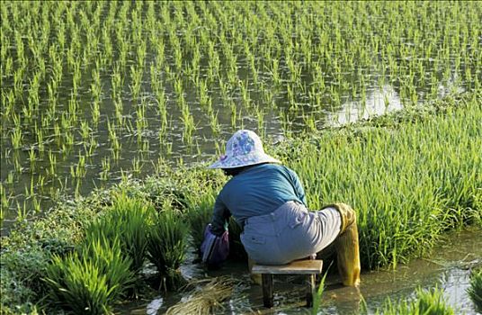 soi cầu xổ số miền bắc hôm nay