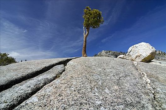 số xo