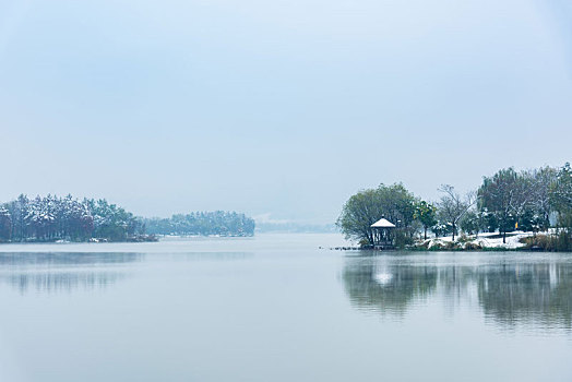 cau lo bach thu