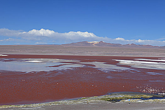 du doan lo kep