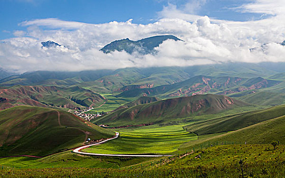 thống kê lô bạch thủ