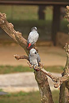du doan kqxs gia lai