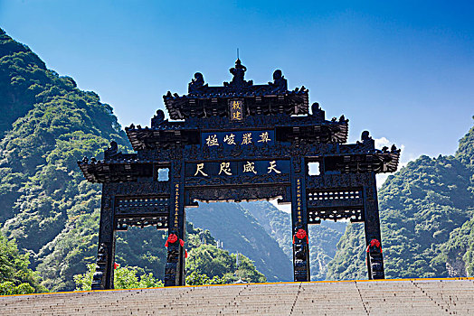 soi bạch thủ