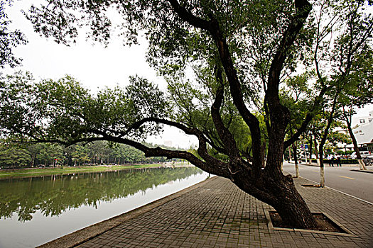 xổ số bạc liêu