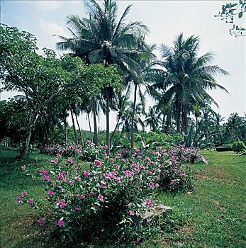 soi cầu lô kép
