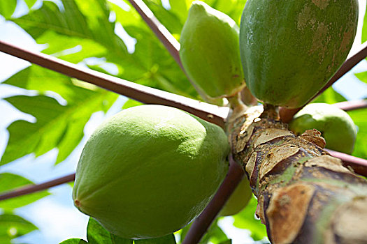 lô khung 3 ngày miễn phí