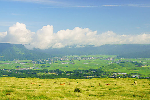 chơi số đề