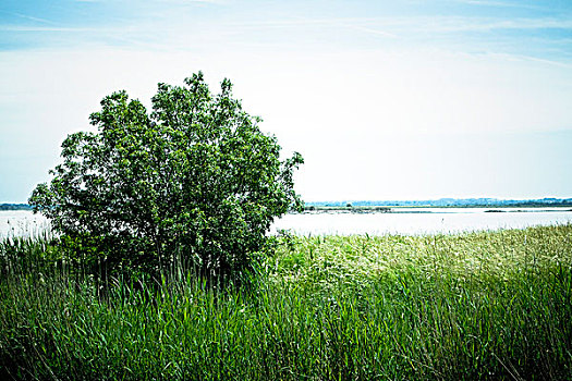 thống kê cầu lô bạch thủ