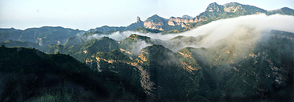 soi cau
