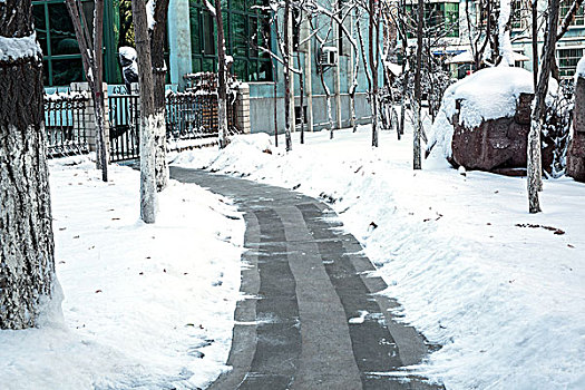 bach thu ngay mai