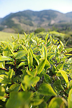 xổ số tuần rồi